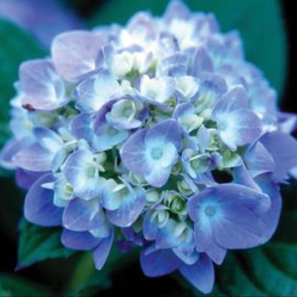 Meet your Posher, Cathy